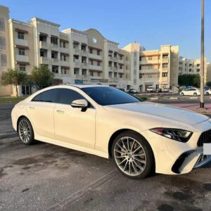 2019 Mercedes Benz CLS450